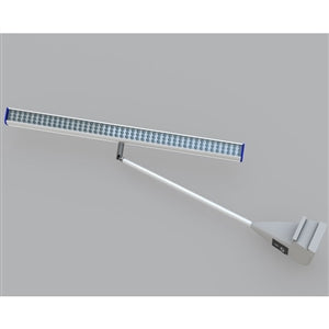 White LED Display Light